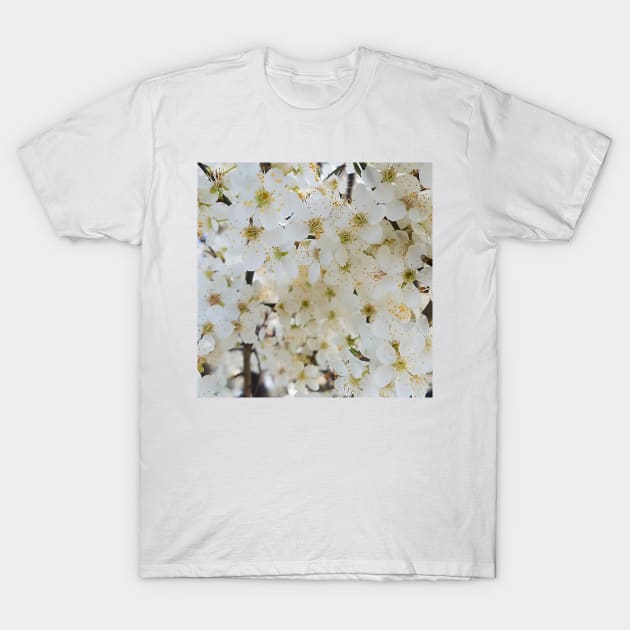 White Plum Blossom Background T-Shirt by DesignMore21